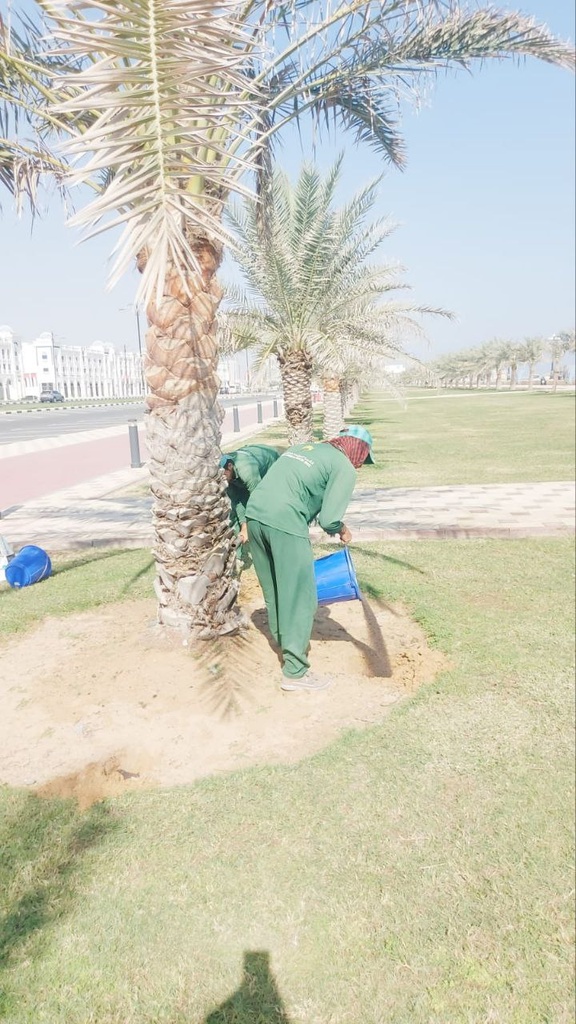 Fish fertilizer serves
