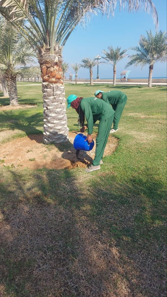 Fish fertilizer serves