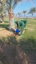 Fish fertilizer serves