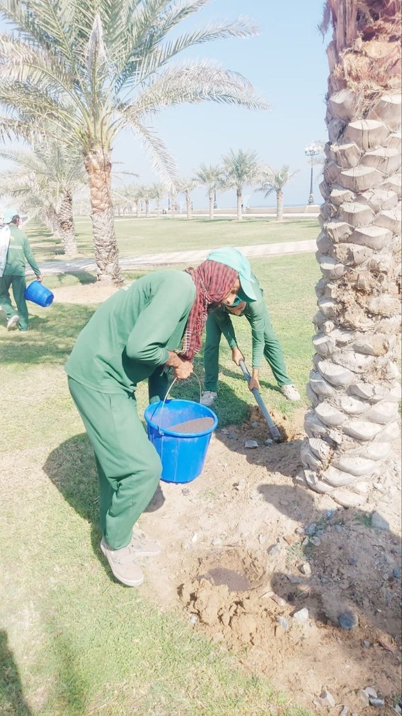 Fish fertilizer serves