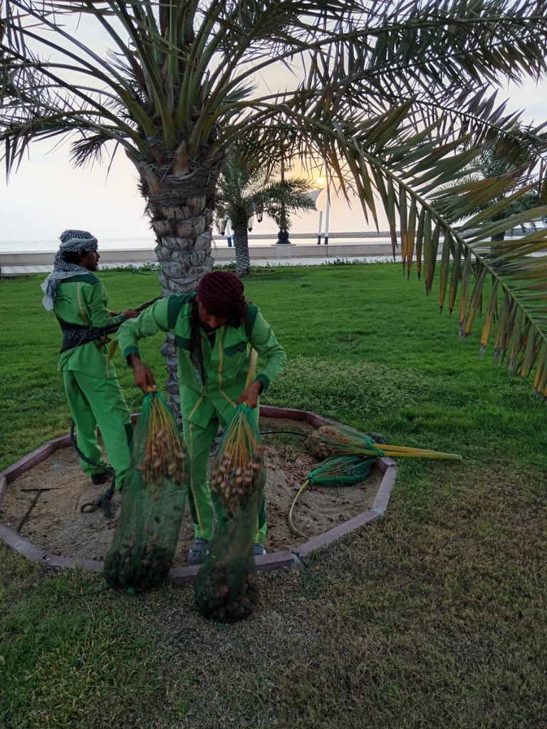 Al-Jaddad (cut Al-Adwaj)  