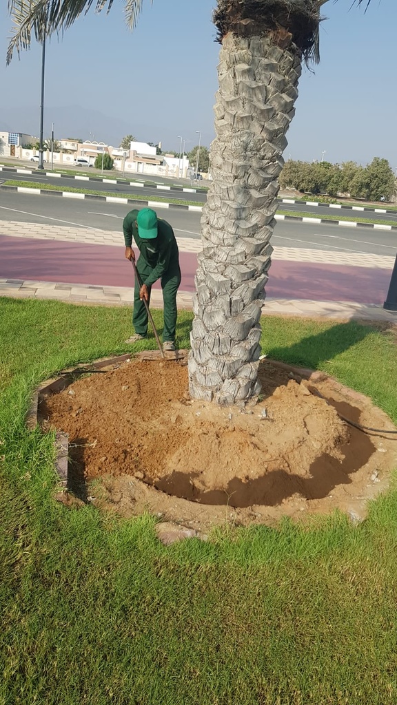Composting  