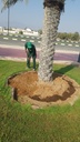 Composting  