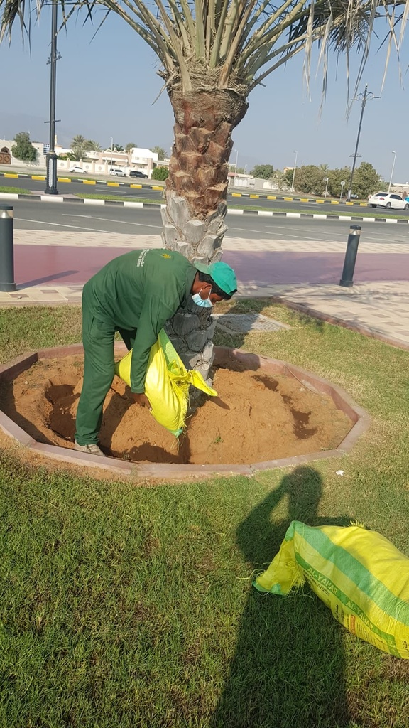 Composting  