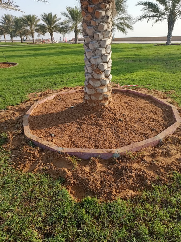 Expanding and cleaning the palm basiin  