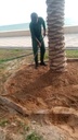 Expanding and cleaning the palm basiin  