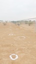 Prepare a meter-long hole  