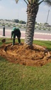 Integrated cosmetic package for the Palm