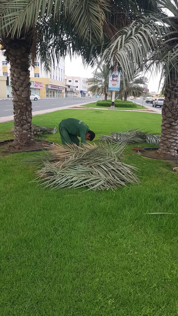 Integrated cosmetic package for the Palm