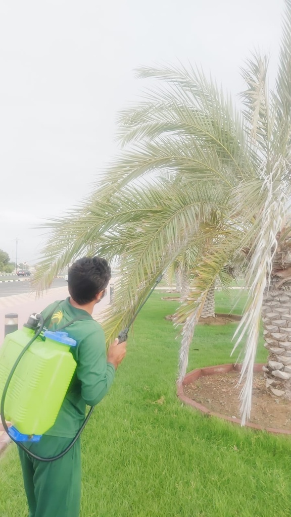 Palm health and pest control package