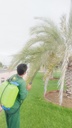 Palm health and pest control package