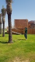 Palm health and pest control package