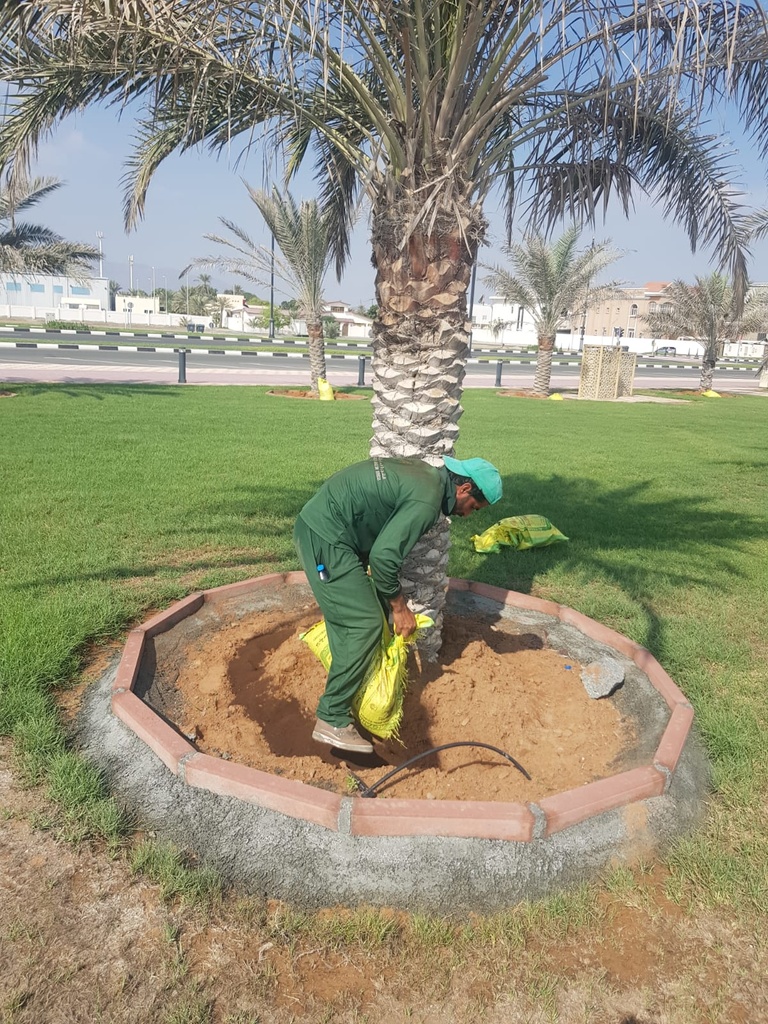 Palm fertilization service 25 kg