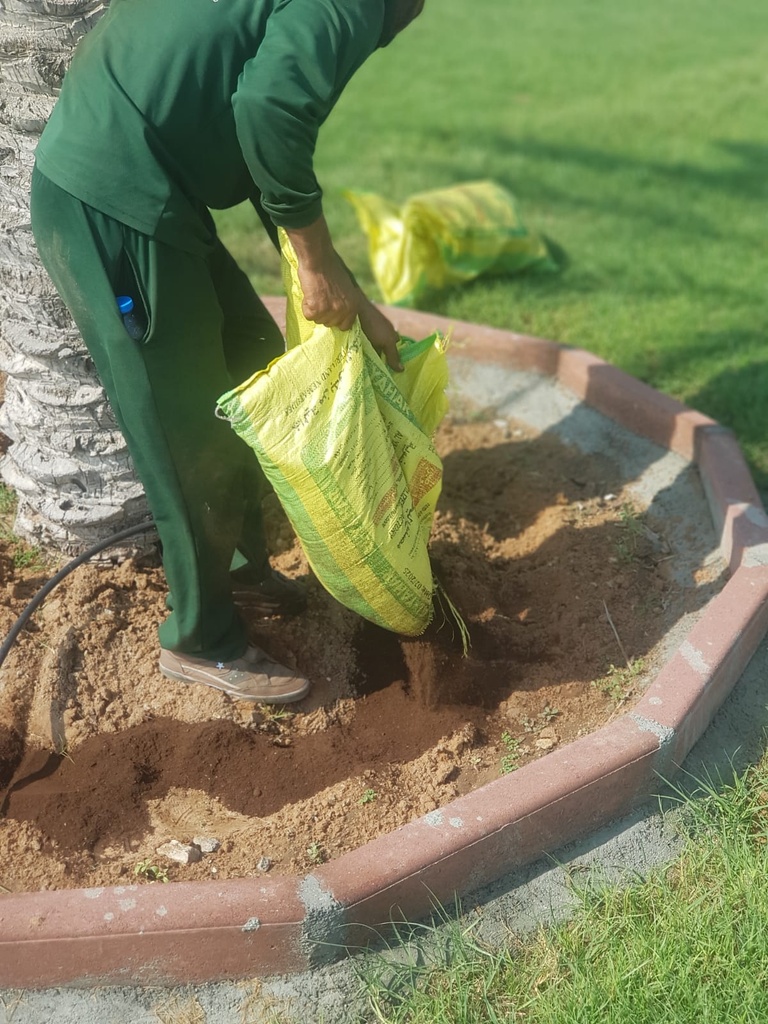 Palm fertilization service 25 kg