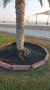 Palm food jacket