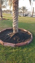 Palm food jacket