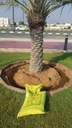 Palm fertilization service 25 kg