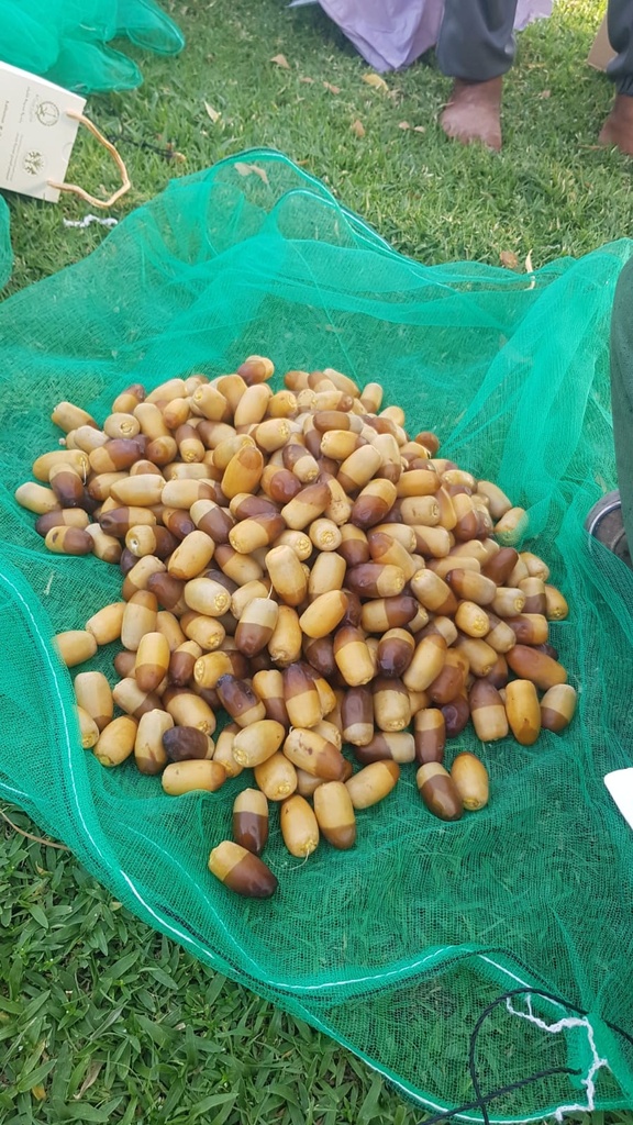 Collecting the dates