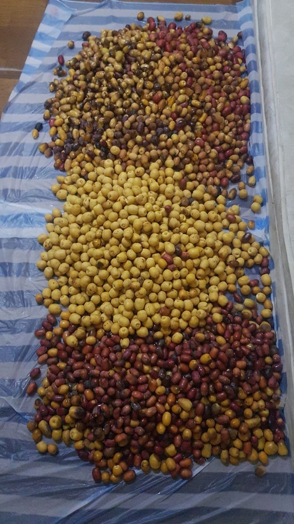 Collecting the dates