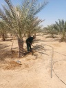 Equipping the palm basin  