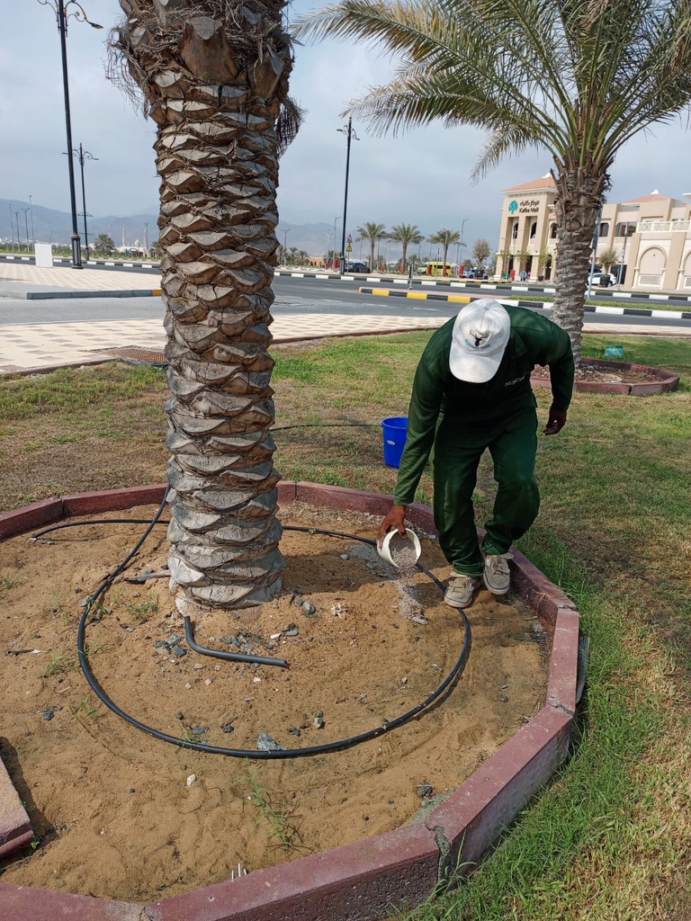 Adding compounds to the soil to remove salts  