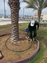 Adding compounds to the soil to remove salts  