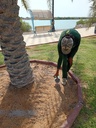 Adding compounds to the soil to remove salts  