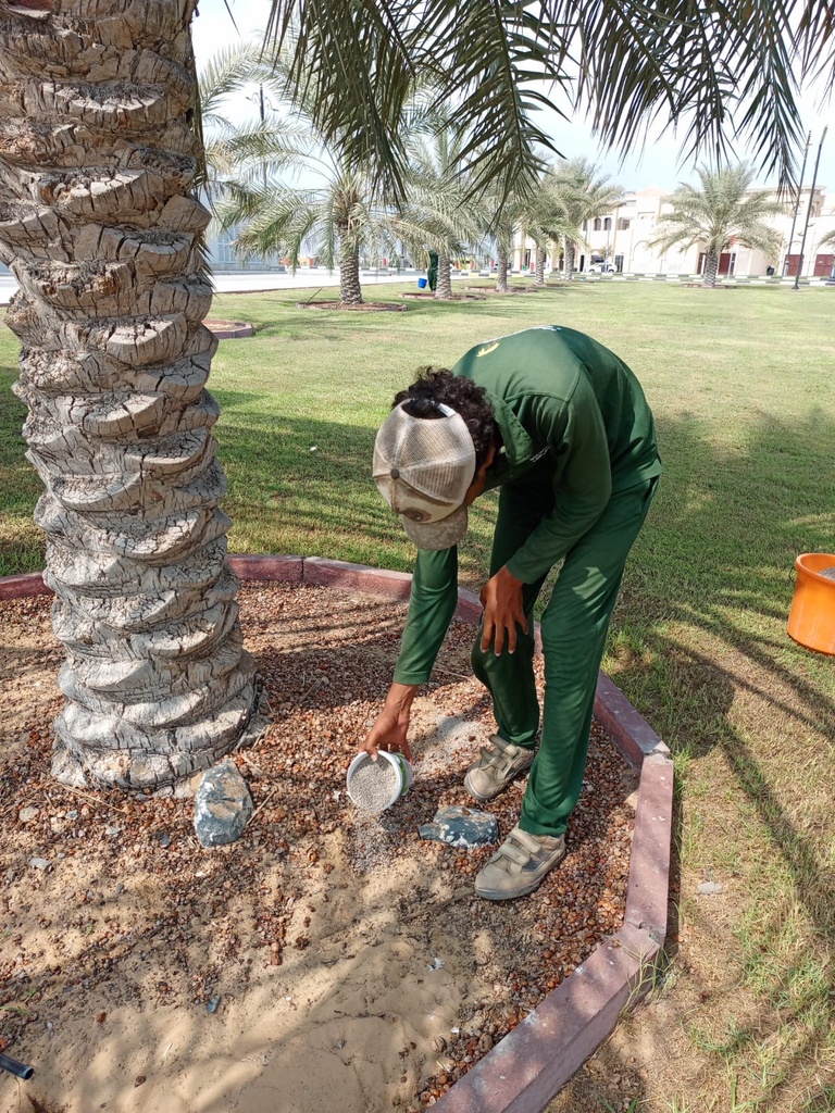 Adding compounds to the soil to remove salts  
