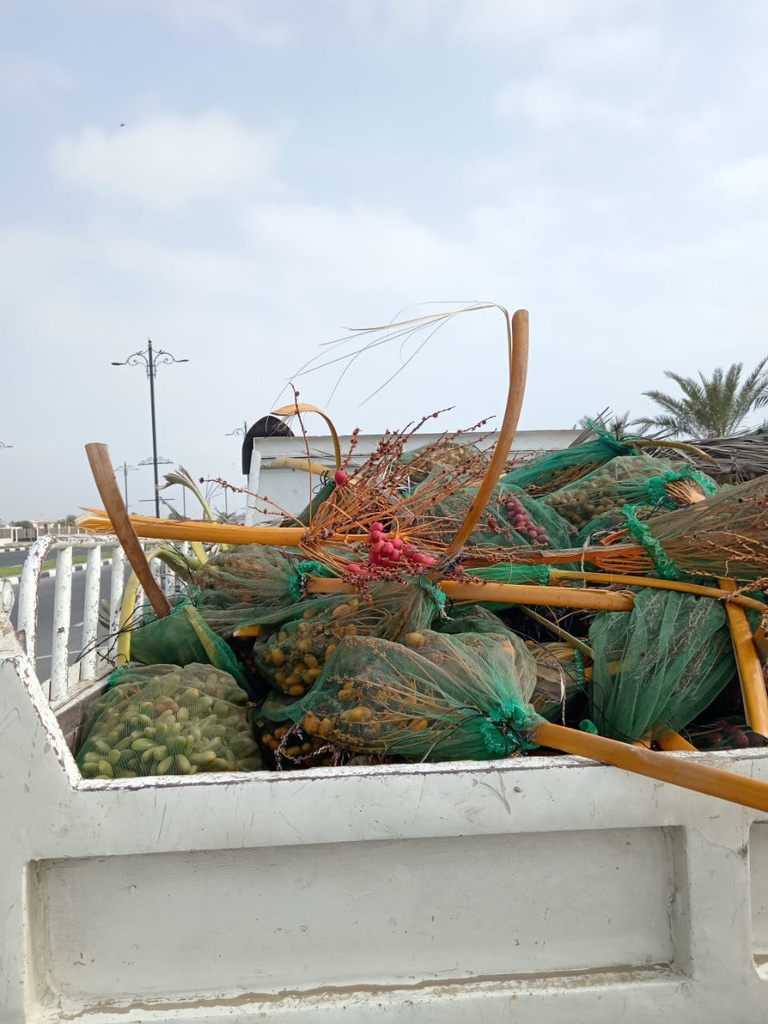 الجداد(قص العذوج)