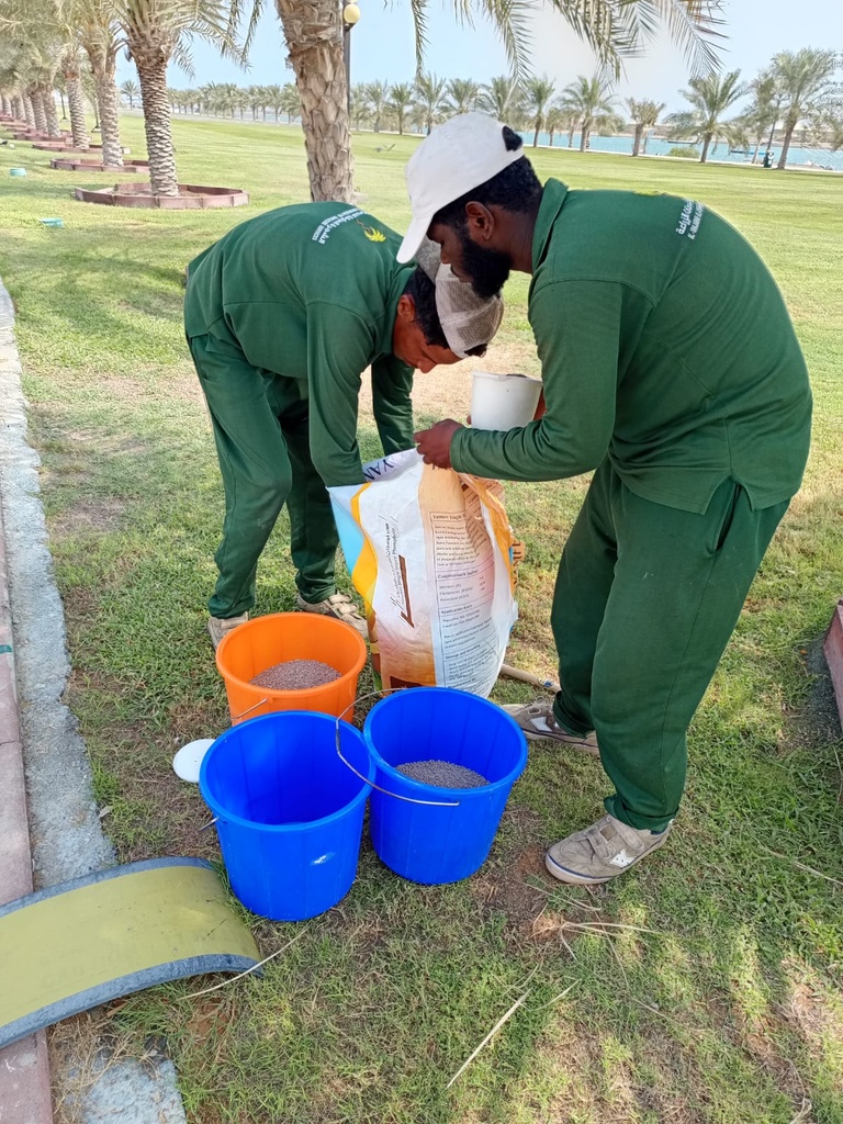Adding compounds to the soil to remove salts  