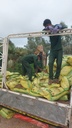 A bag of mixed cow and poultry fertilizer 