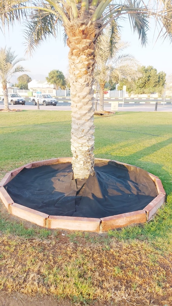 Palm food jacket 4m - 200x200 cm large size