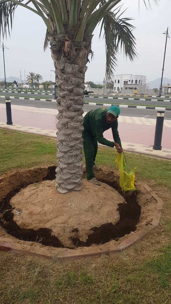 Palm fertilization service 25 kg