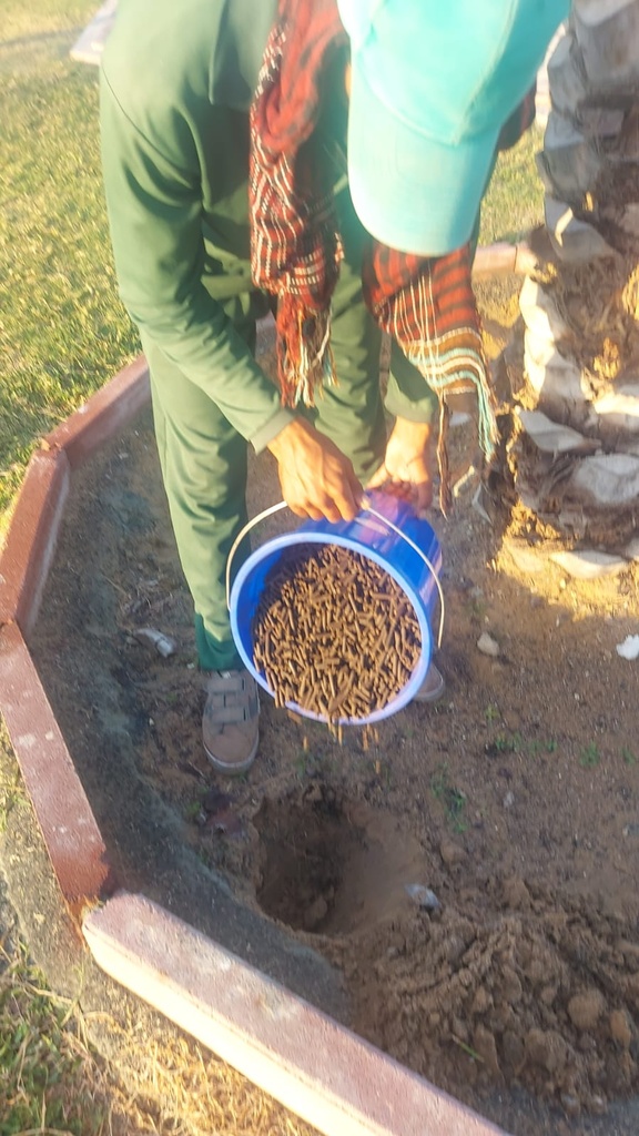Fish fertilizer