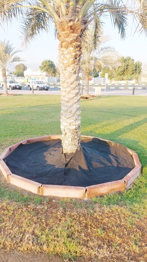 Palm food jacket 4m - 200x200 cm large size